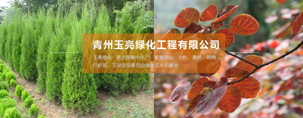 公司大楼