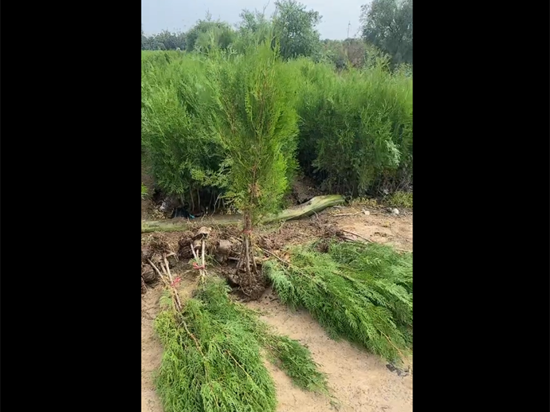 发货现场