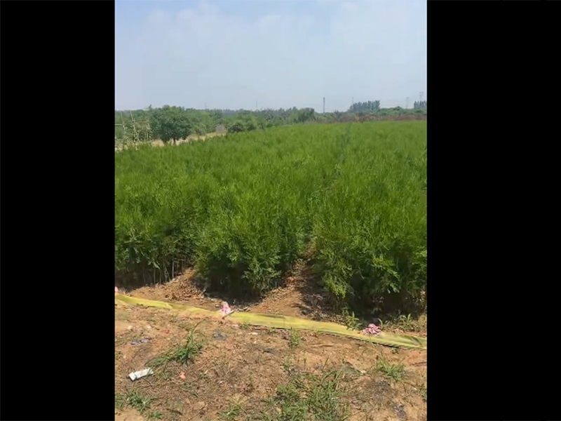 发货现场